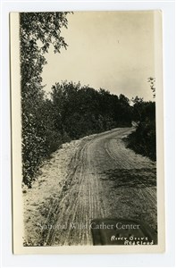 Image description is not available for PHO-264-637